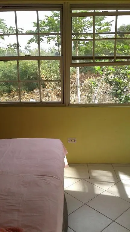 Antiguas 1# Budget Rooms Osbourn Guest house
