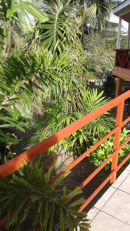 Antiguas 1# Budget Rooms Osbourn Antigua/Barbuda